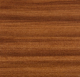 African Teak, Afrormosia