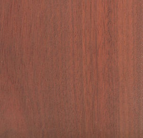 Bloodwood.jpg