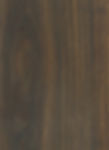 Lignum Vitae