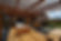 shutterstock_153784166.jpg