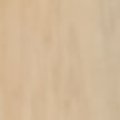 Hard Maple