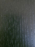 Black_White Oak (A6842QS)
