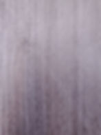 Eucalyptus (A6820QZ)