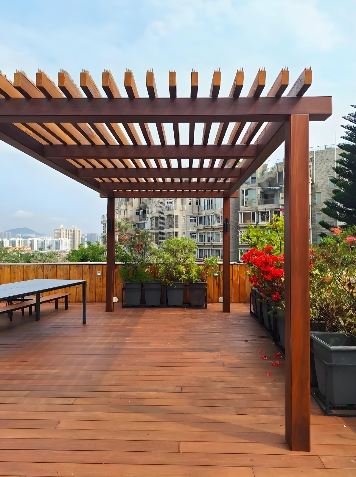 Garden wood deck and pergola, trellis