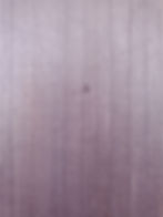 Poplar (A8822WZ)