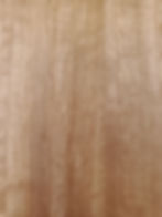 Eucalyptus (A8818QZ)