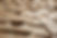 shutterstock_769024069.jpg