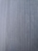 Poplar (A8823QS)