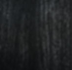 Carbonized Wood