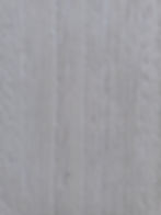White_Sycamore (A6812WS)