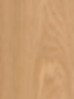 European Oak