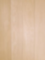 SHFLSOP003_Oak