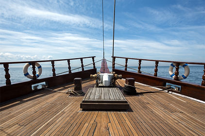 timber with marine borers resistance
