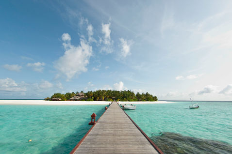 wood for marine environments