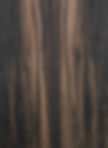 Asian Striped ebony