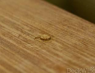deckwise-hardwood-plugs-8.jpg