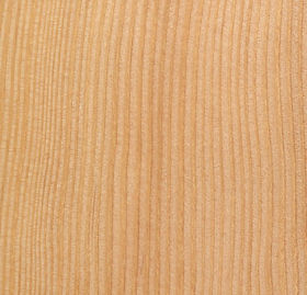 Douglas Fir