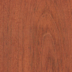 wood jatoba