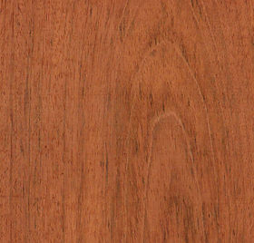 Jatoba
