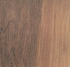 Lancewood
