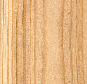 Larch.jpg