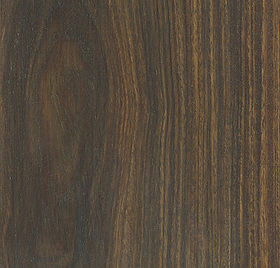 Lignum Vitae.jpg