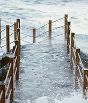 wood for saltwater