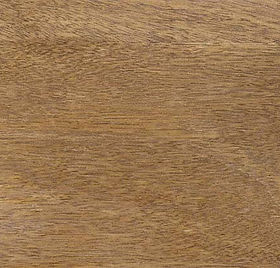 Mango wood