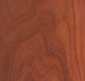 Padauk.jpg