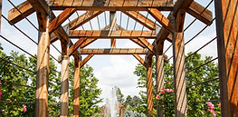 natural wood