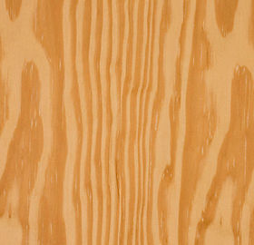 Southern Yellow Pine.jpg