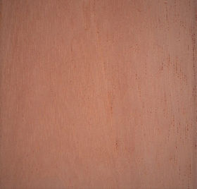 Spanish Cedar.jpg