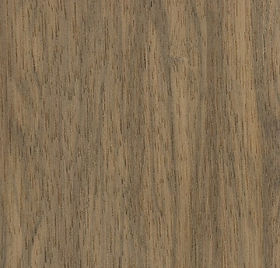 Terminalia